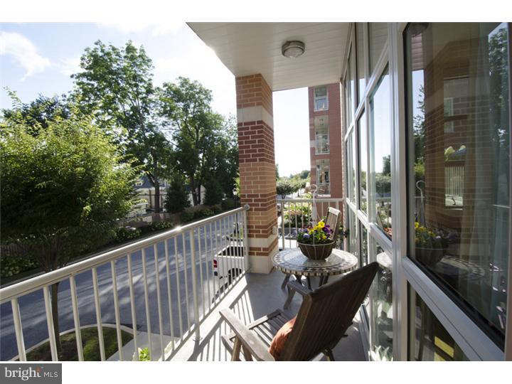 311 Iron Works Way Wayne, PA 19087 - Photo 14 of 19 Porch