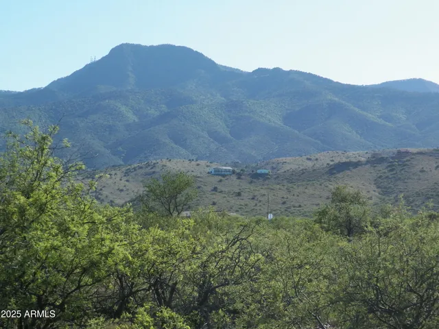 a view of a dry back yard