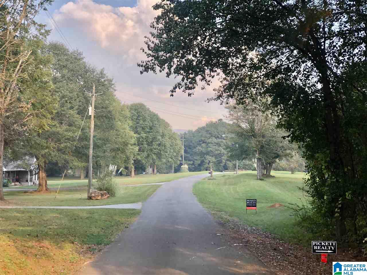 0 Carleton Point Lane, Unit 1 Wilsonville, AL 35186 - Photo 2 of 8