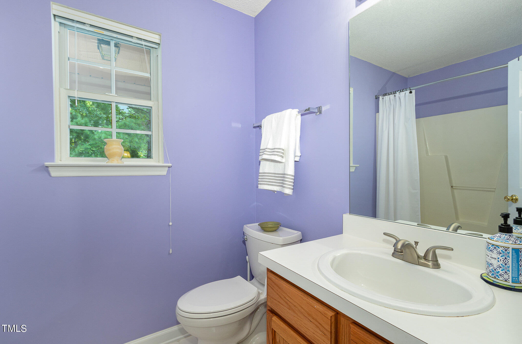 4402 Nightfall Court Durham, NC 27713 - Photo 11 of 21 Primary Bathroom