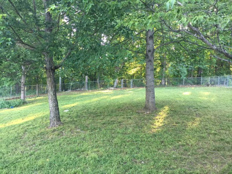 2424 Chimney Ridge Road Knoxville, TN 37923 - Photo 21 of 25 21