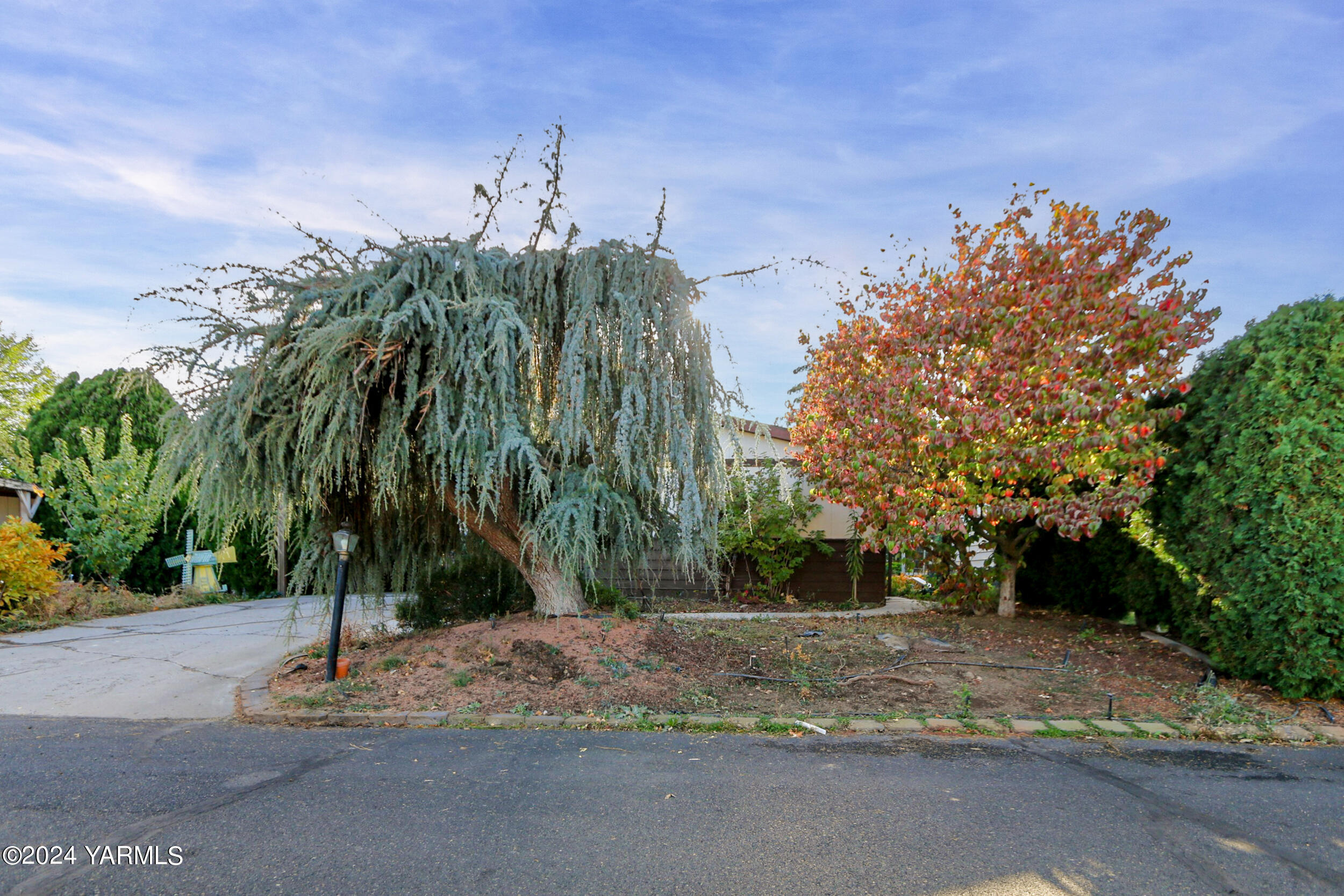 3701 Gun Club Road, Unit 28 Yakima, WA 98901 - Photo 28 of 28 a palm tree sitting in front of a house with a trees