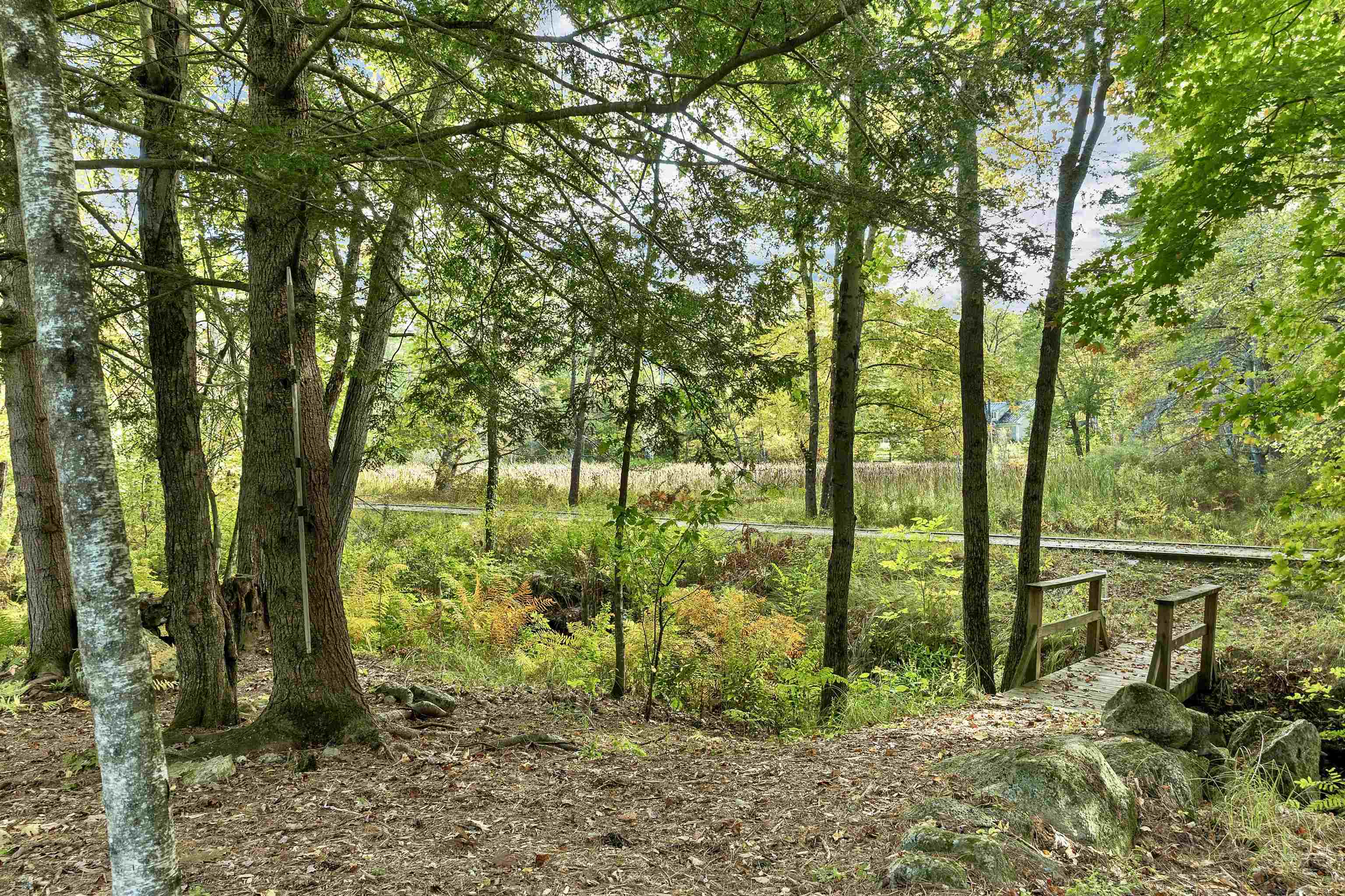 19 Cotton Mountain Road Wolfeboro, NH 03894 - Photo 40 of 60