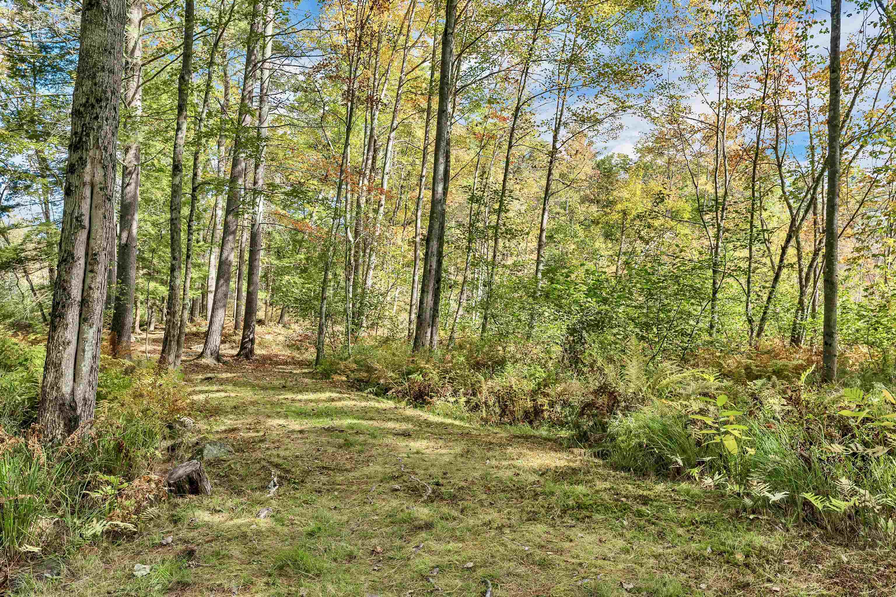 19 Cotton Mountain Road Wolfeboro, NH 03894 - Photo 43 of 60