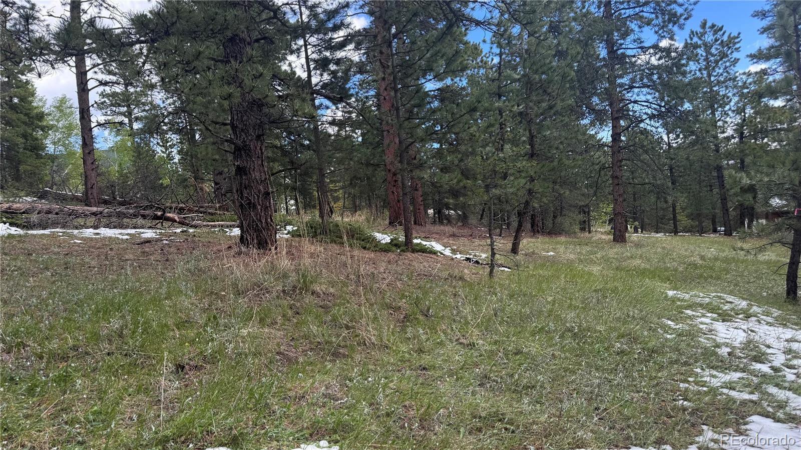 717 Crescent Lake Road Golden, CO 80403 - Photo 12 of 27