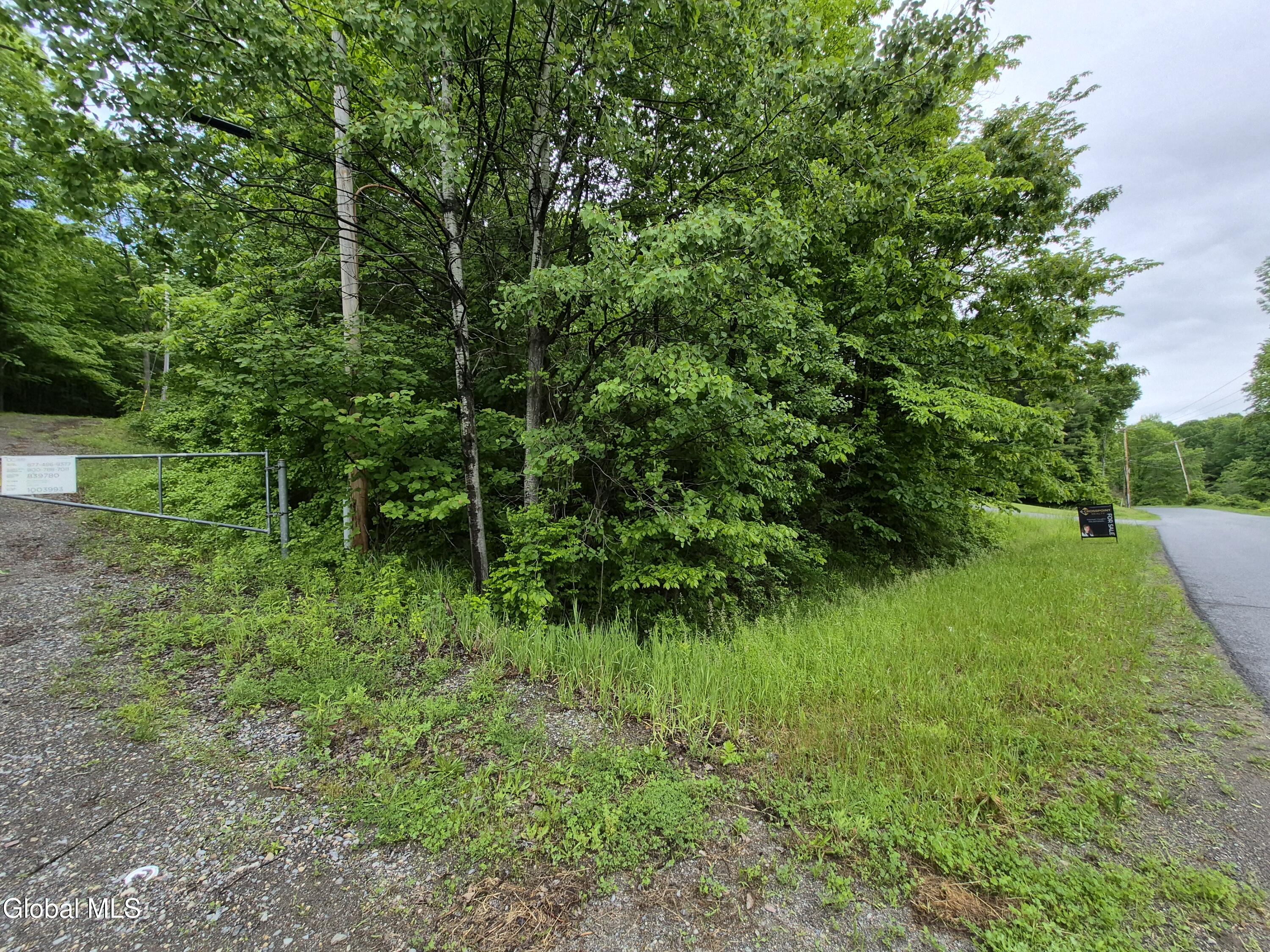 L1.2 Goodman Road Fort Ann, NY 12827 - Photo 5 of 20 Road frontage