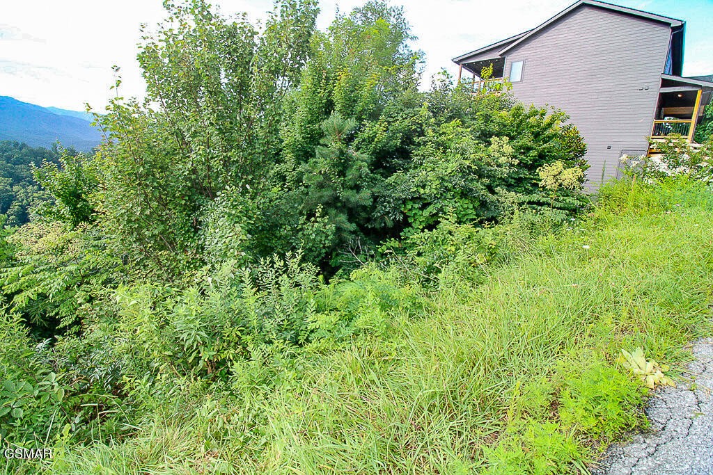 254 Village Loop Road Gatlinburg, TN 37738 - Photo 6 of 38 Gallery Image 6