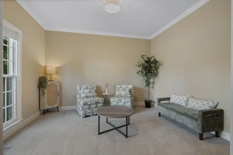 a living room with furniture and a potted plant