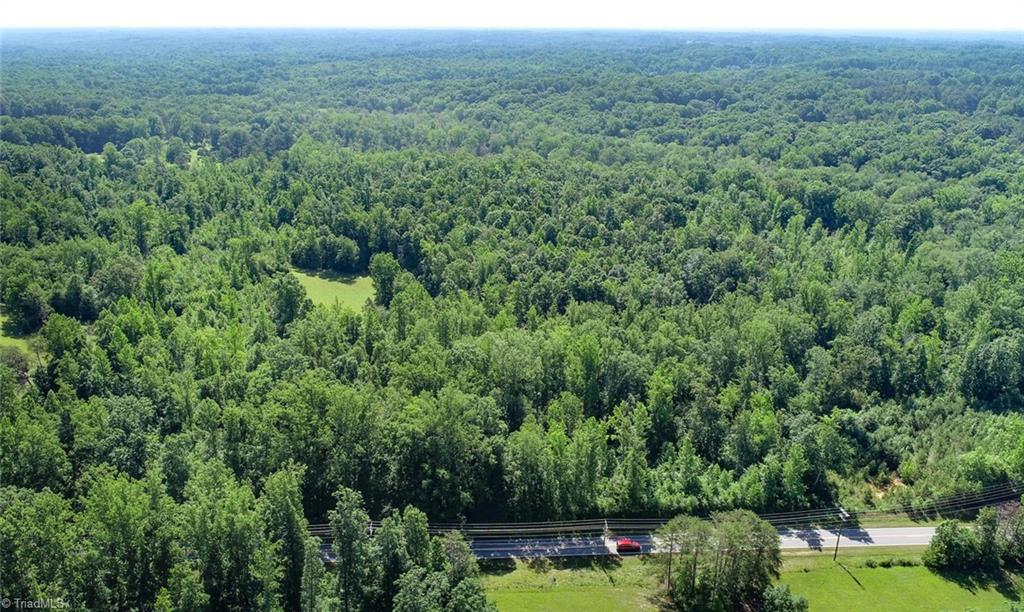 7800 Eversfield Road Stokesdale, NC 27357 - Photo 7 of 7 Looking straight back