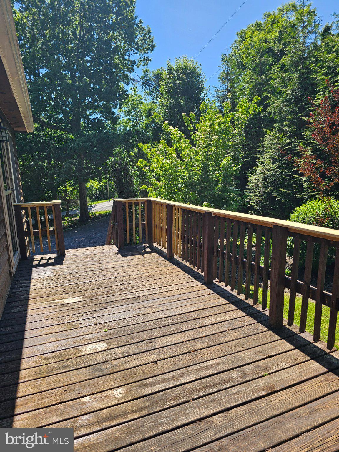 32 Parnassus Road Linden, VA 22642 - Photo 35 of 50 Sunny deck surrounded by lush greenery.