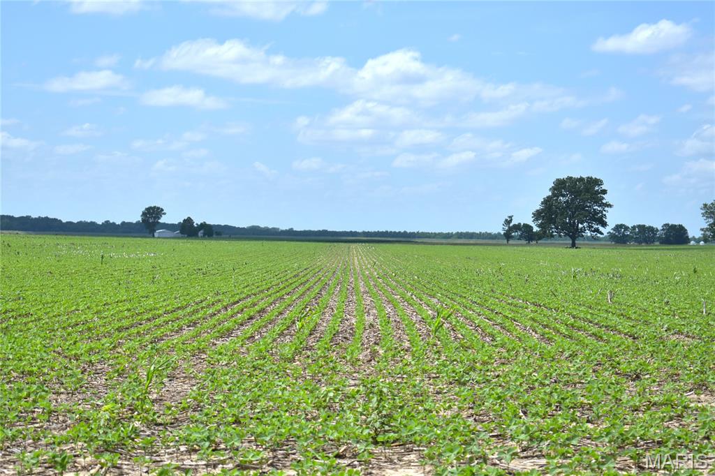 0 Fish Lake Road Prairie du Rocher, IL 62277 - Photo 14 of 15
