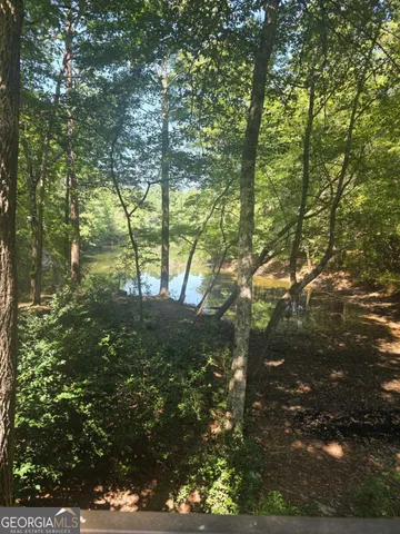 $699,000 | 5656 Hamilton Road, Pine Mountain, GA 31822