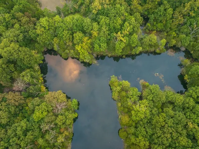 $391,250 | 466 Northwest 391 Road, Clinton, MO 64735