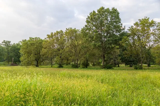 $391,250 | 466 Northwest 391 Road, Clinton, MO 64735