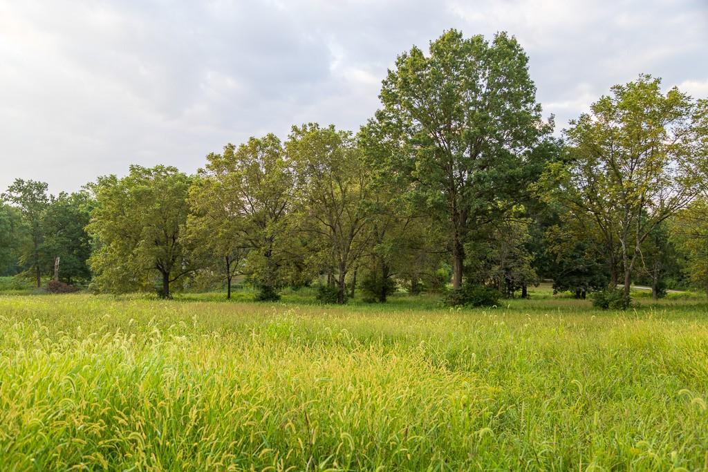 466 Northwest 391 Road Clinton, MO 64735 - Photo 38 of 66