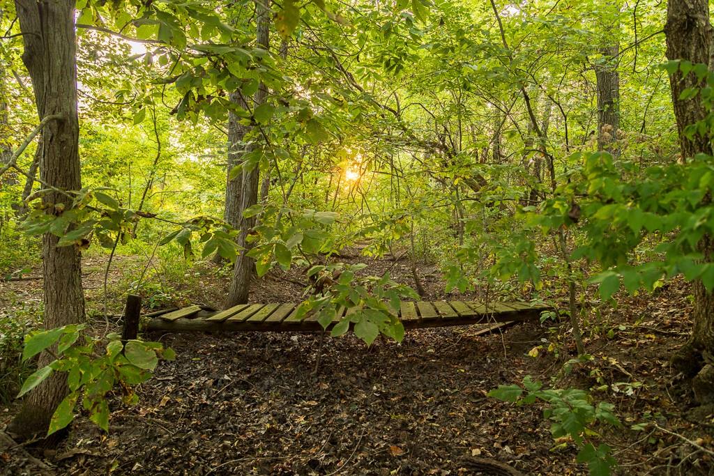 466 Northwest 391 Road Clinton, MO 64735 - Photo 44 of 66