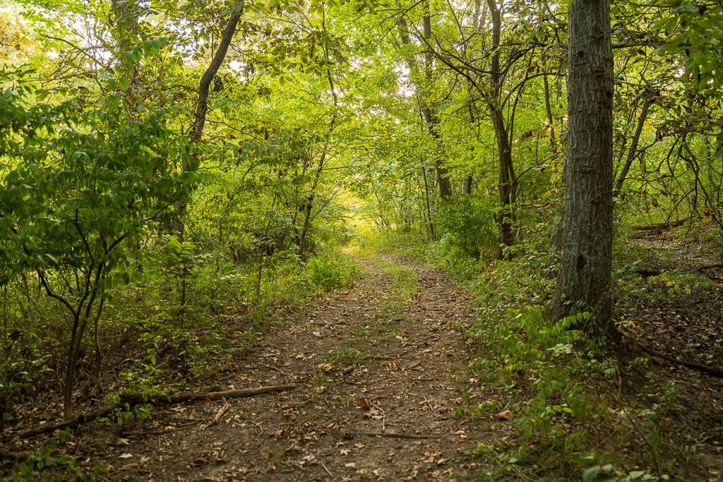 466 Northwest 391 Road Clinton, MO 64735 - Photo 45 of 66