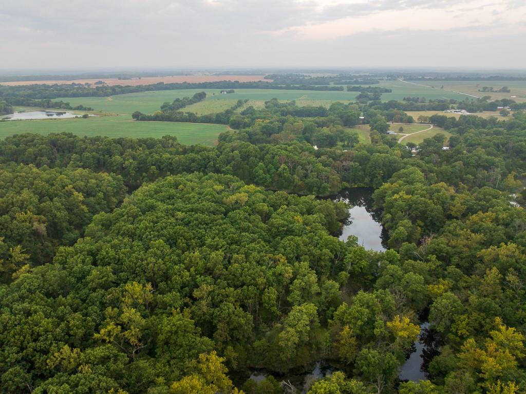 466 Northwest 391 Road Clinton, MO 64735 - Photo 8 of 66