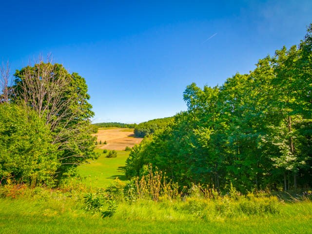 2465 Carroll Road Traverse City, MI 49686 - Photo 42 of 57 1870130-41.JPG