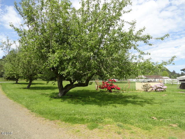 1786 Logsden Road Siletz, OR 97380 - Photo 5 of 17 fruit trees