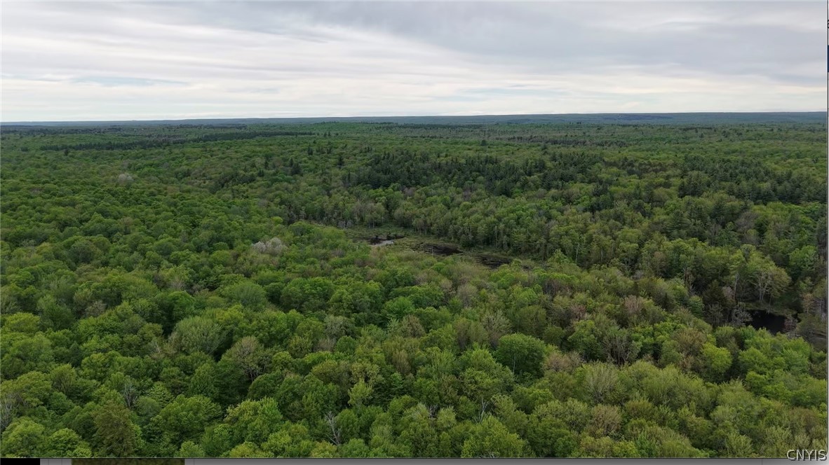 Lot #9 Lost Ridge Road, Unit 9 Camden, NY 13316 - Photo 26 of 27