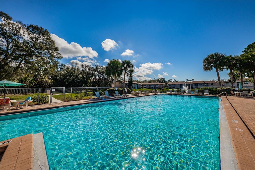 6627 Spring Flower Drive, Unit 14 New Port Richey, FL 34653 - Photo 35 of 40