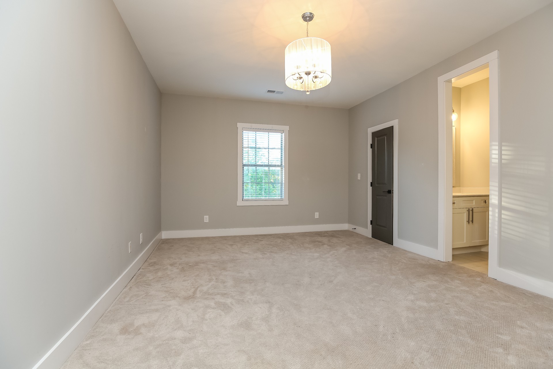 259 Harrowgate Drive Clarksville, TN 37043 - Photo 19 of 27 an empty room with windows and chandelier fan