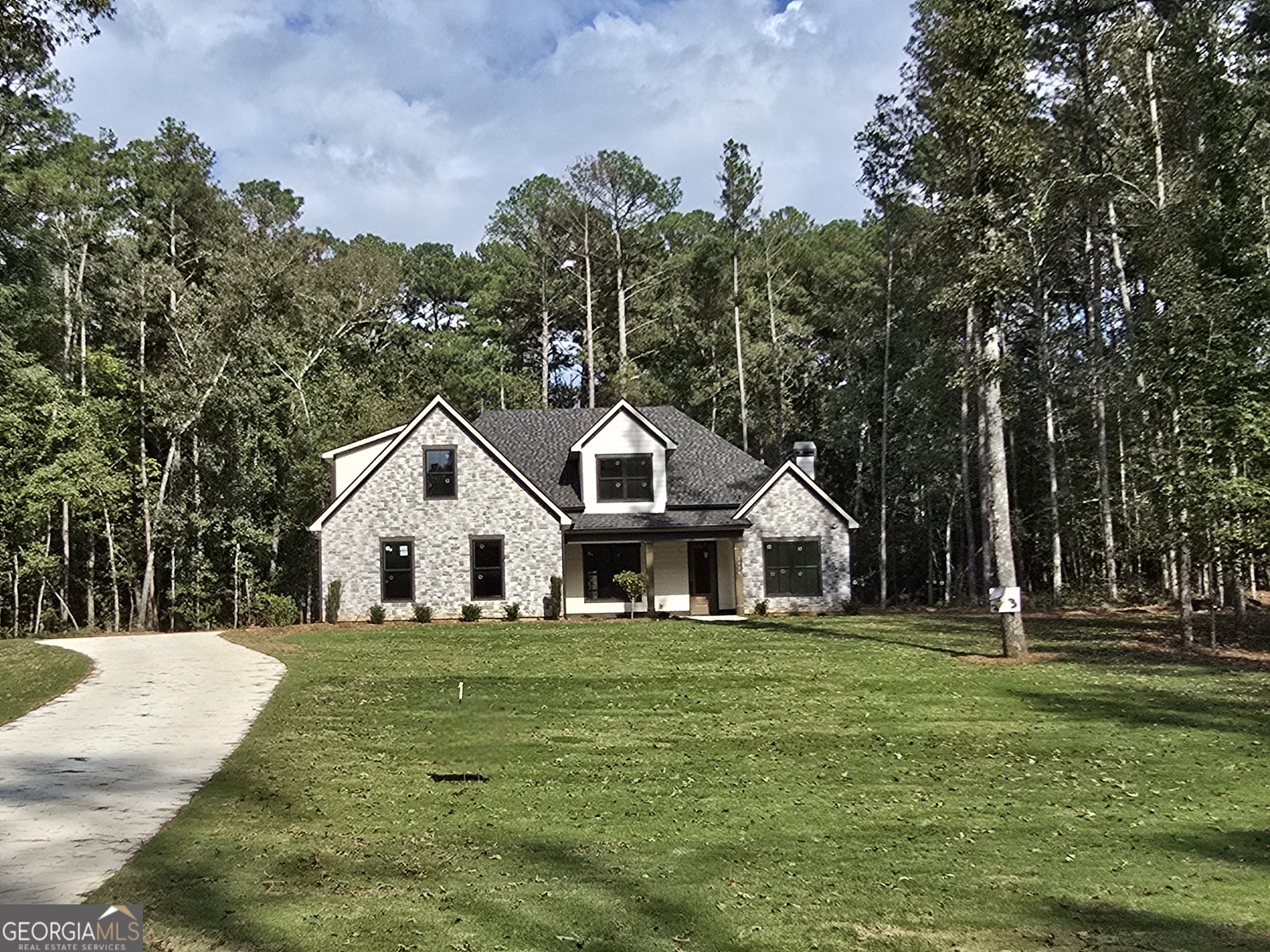 2039 Fischer Road Sharpsburg, GA 30277 - Photo 3 of 53