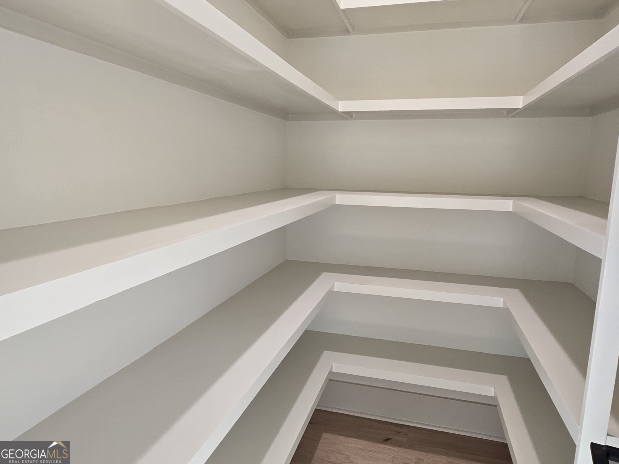 2039 Fischer Road Sharpsburg, GA 30277 - Photo 51 of 53