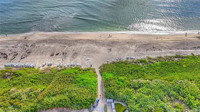 a view of a yard with plants and wooden fence
