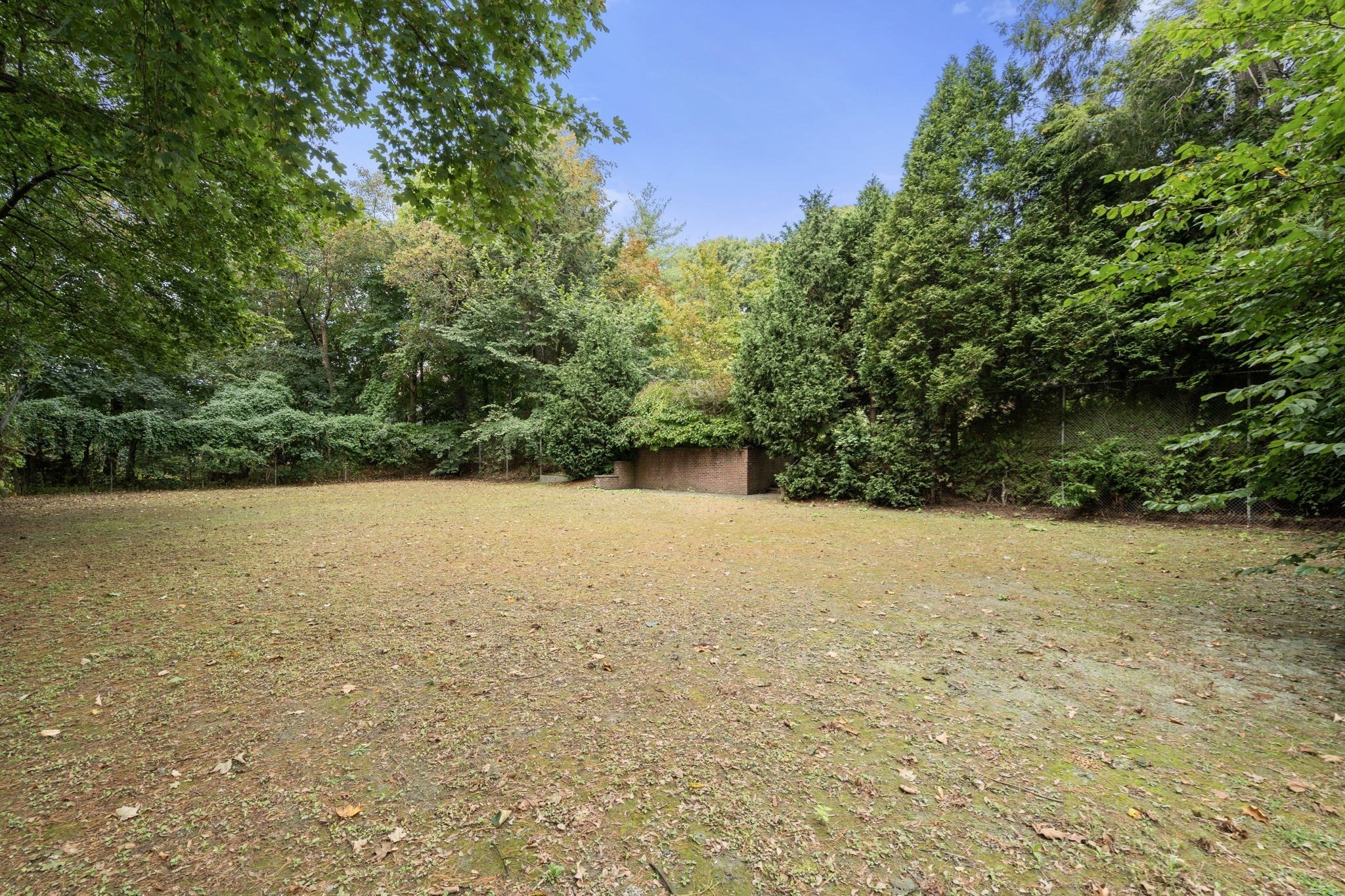 24 Essex Road Newton, MA 02467 - Photo 6 of 7 Gallery Image 6