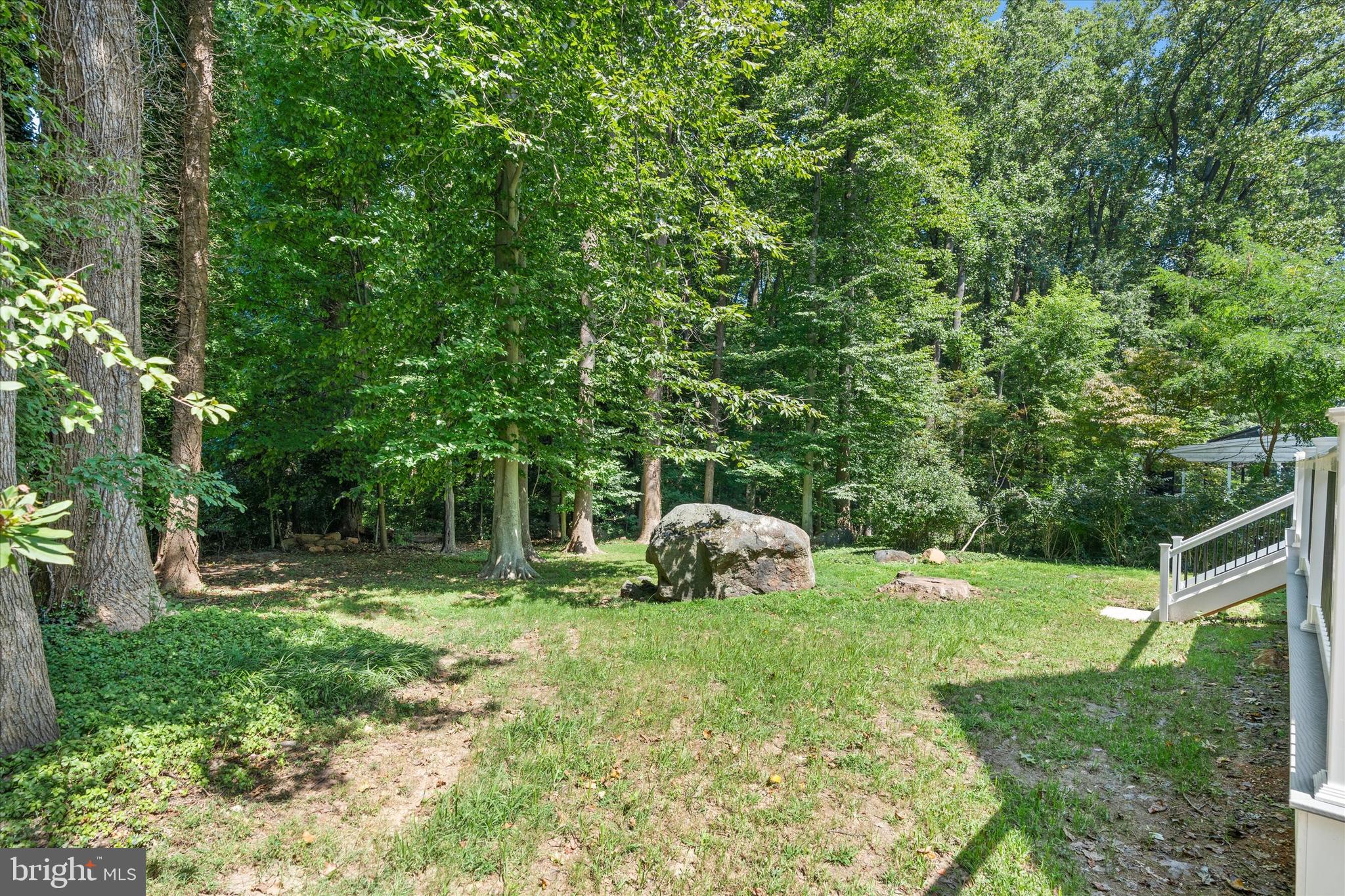 276 West Chestnut Hill Road Newark, DE 19713 - Photo 51 of 62 Backyard
