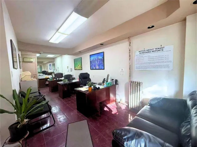 a living room with furniture potted plant and a window
