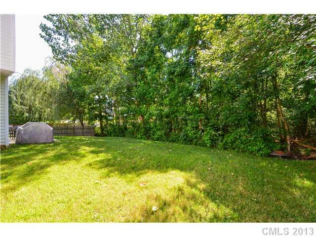 15363 Michael Andrew Road Huntersville, NC 28078 - Photo 16 of 16 a view of yard with green space
