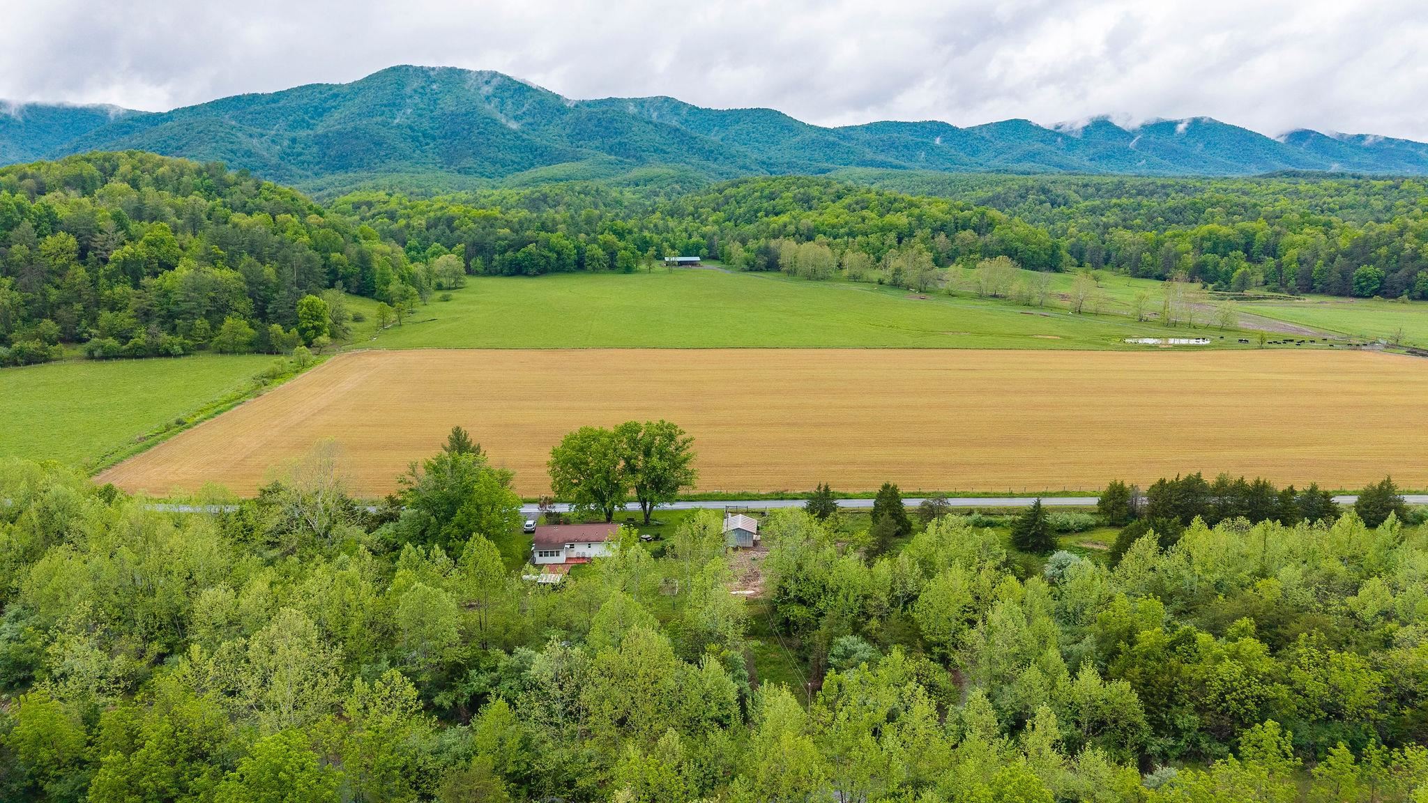 3292 Deerfield Valley Road Deerfield, VA 24432 - Photo 65 of 69 a view of a lush green hillside and a houses