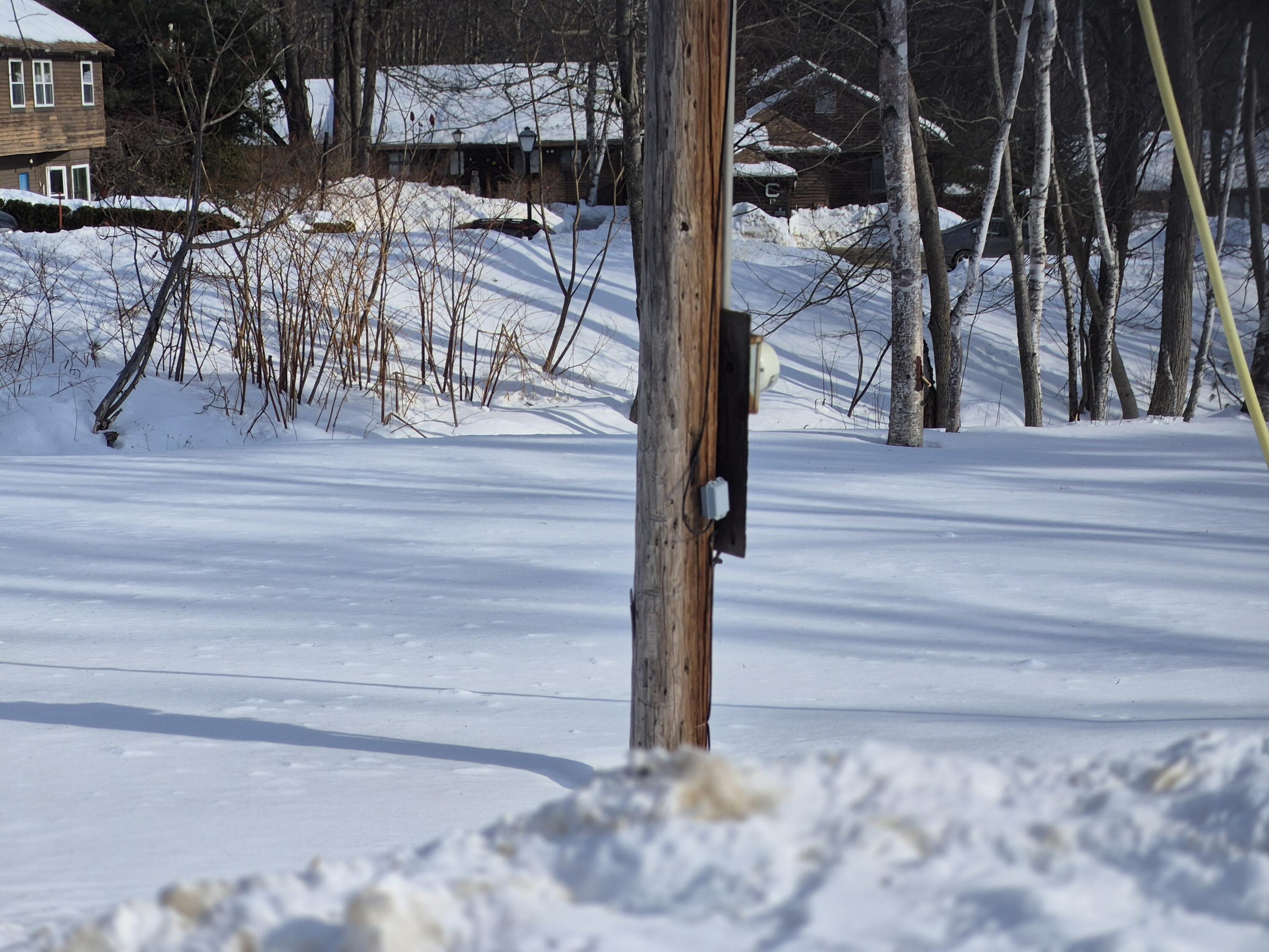 78 Backkingdom Rd power pole on property