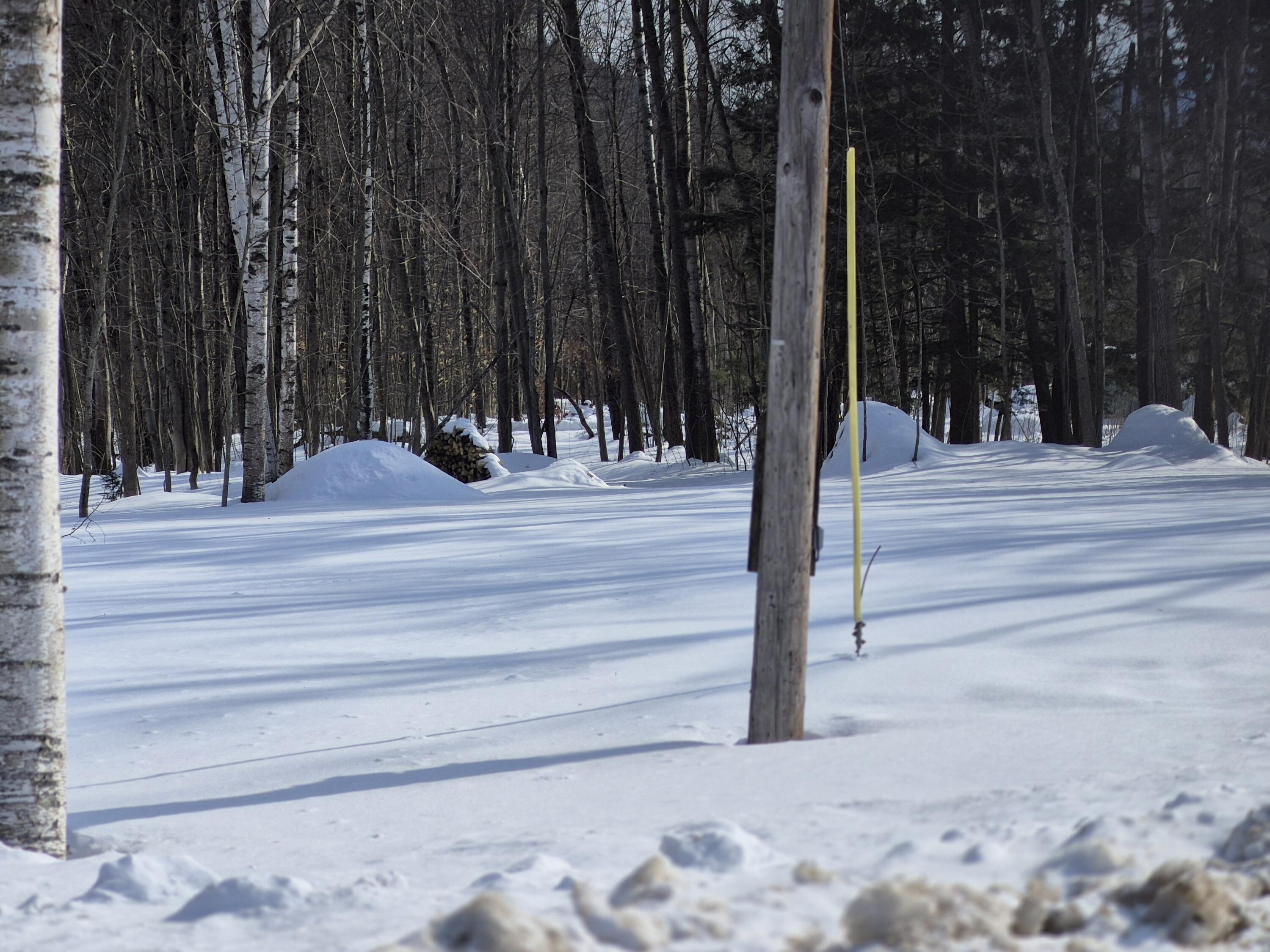 78 Backkingdom Road Mexico, ME 04257 - Photo 2 of 4 20260204_125902