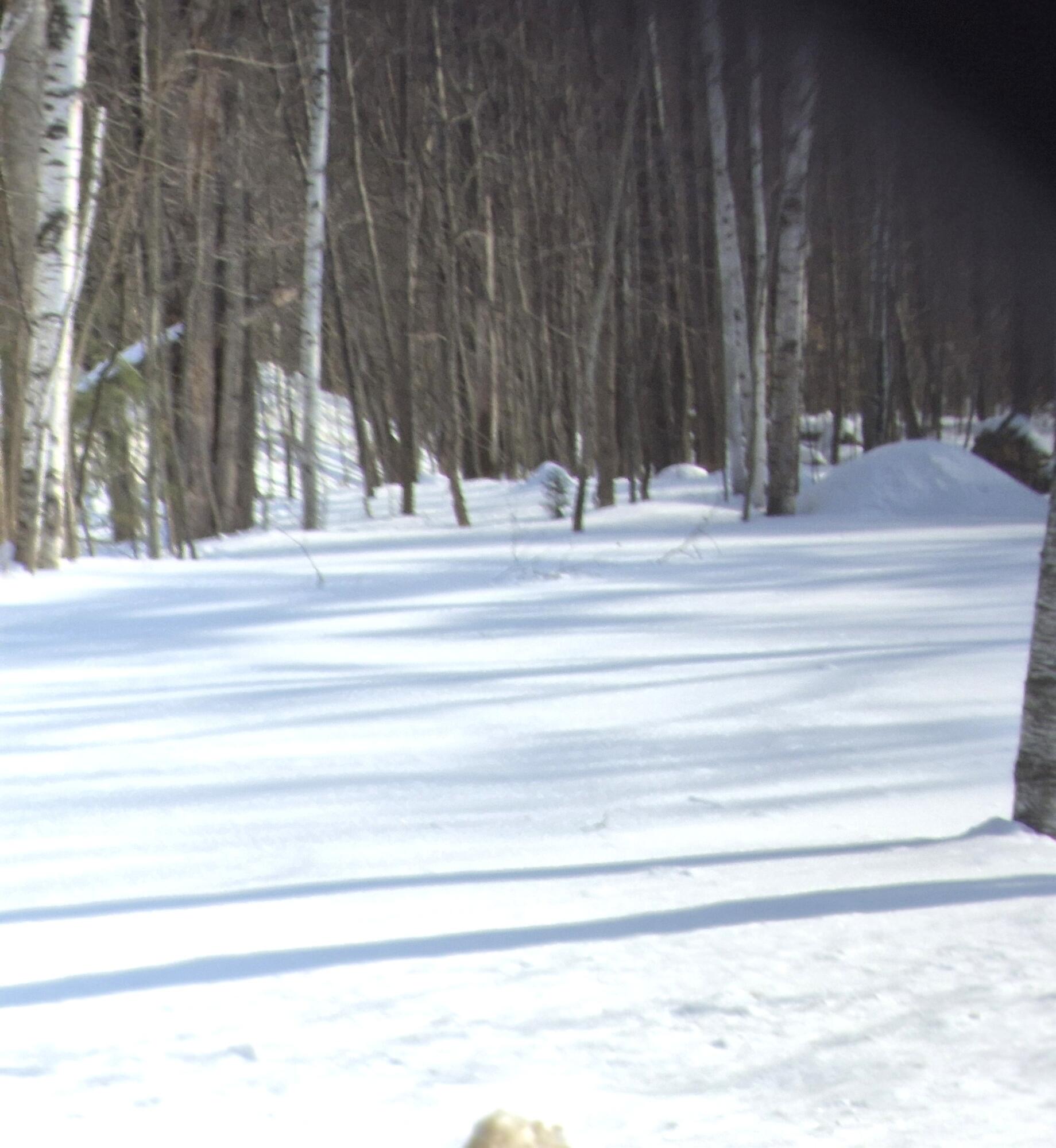 78 Backkingdom Road Mexico, ME 04257 - Photo 4 of 4 78 Backkingdom Rd level lot