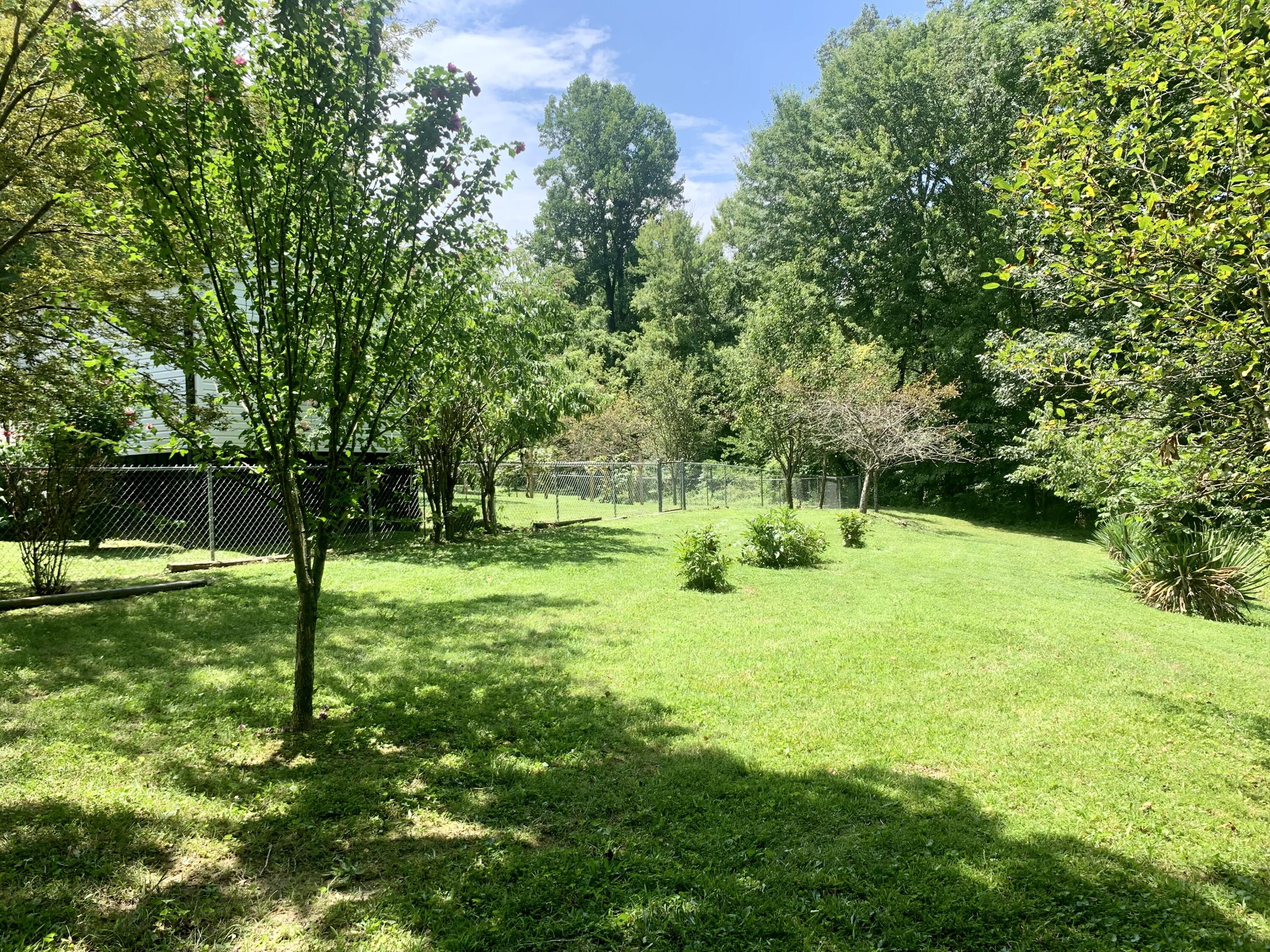 702 Conductor Street Corbin, KY 40701 - Photo 5 of 28 IMG_1270