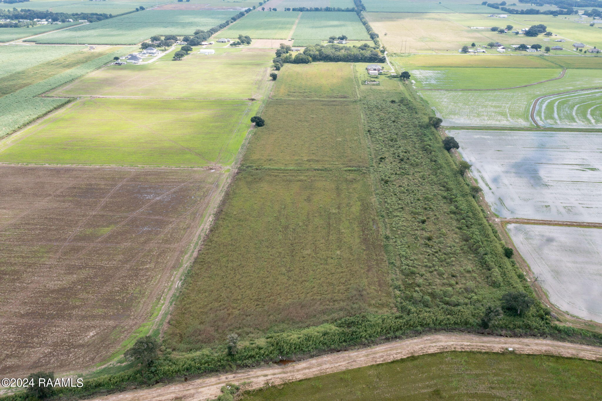 Tbd Wilson Road Maurice, LA 70555 - Photo 5 of 7 10-web-or-mls-DJI_0932