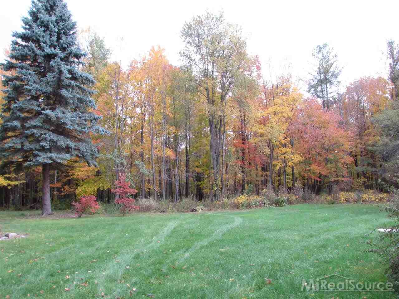 7860 Kitchen Road Goodells, MI 48027 - Photo 24 of 24