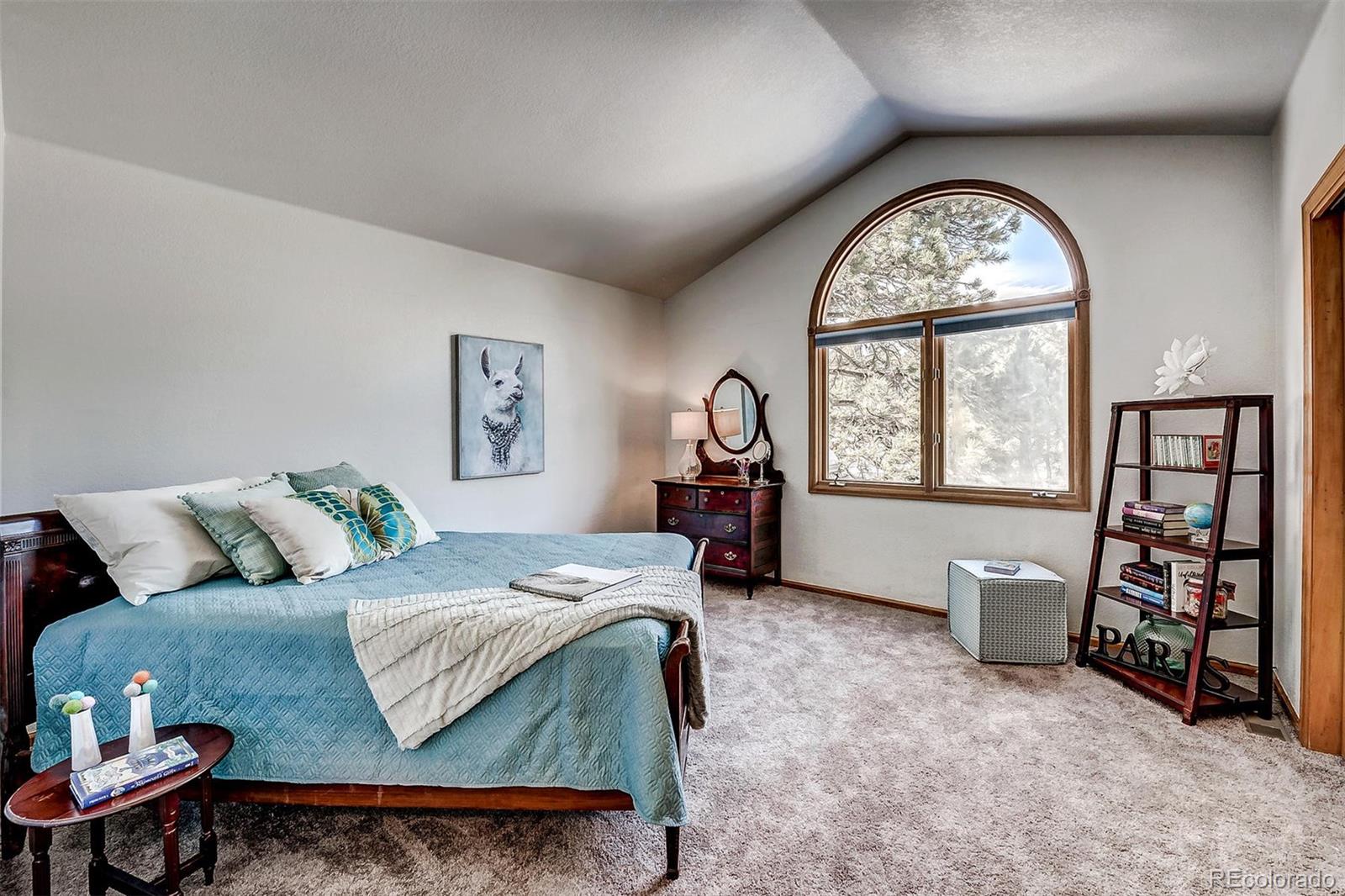 7536 South Settlers Drive Morrison, CO 80465 - Photo 23 of 40