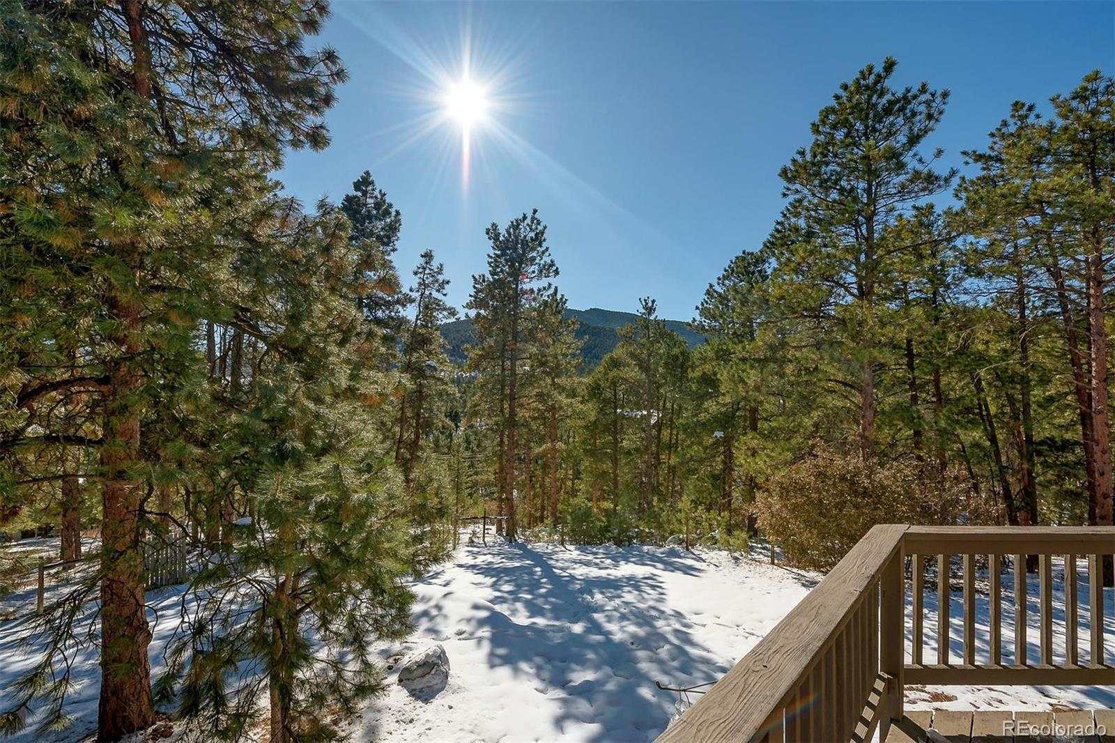 7536 South Settlers Drive Morrison, CO 80465 - Photo 32 of 40
