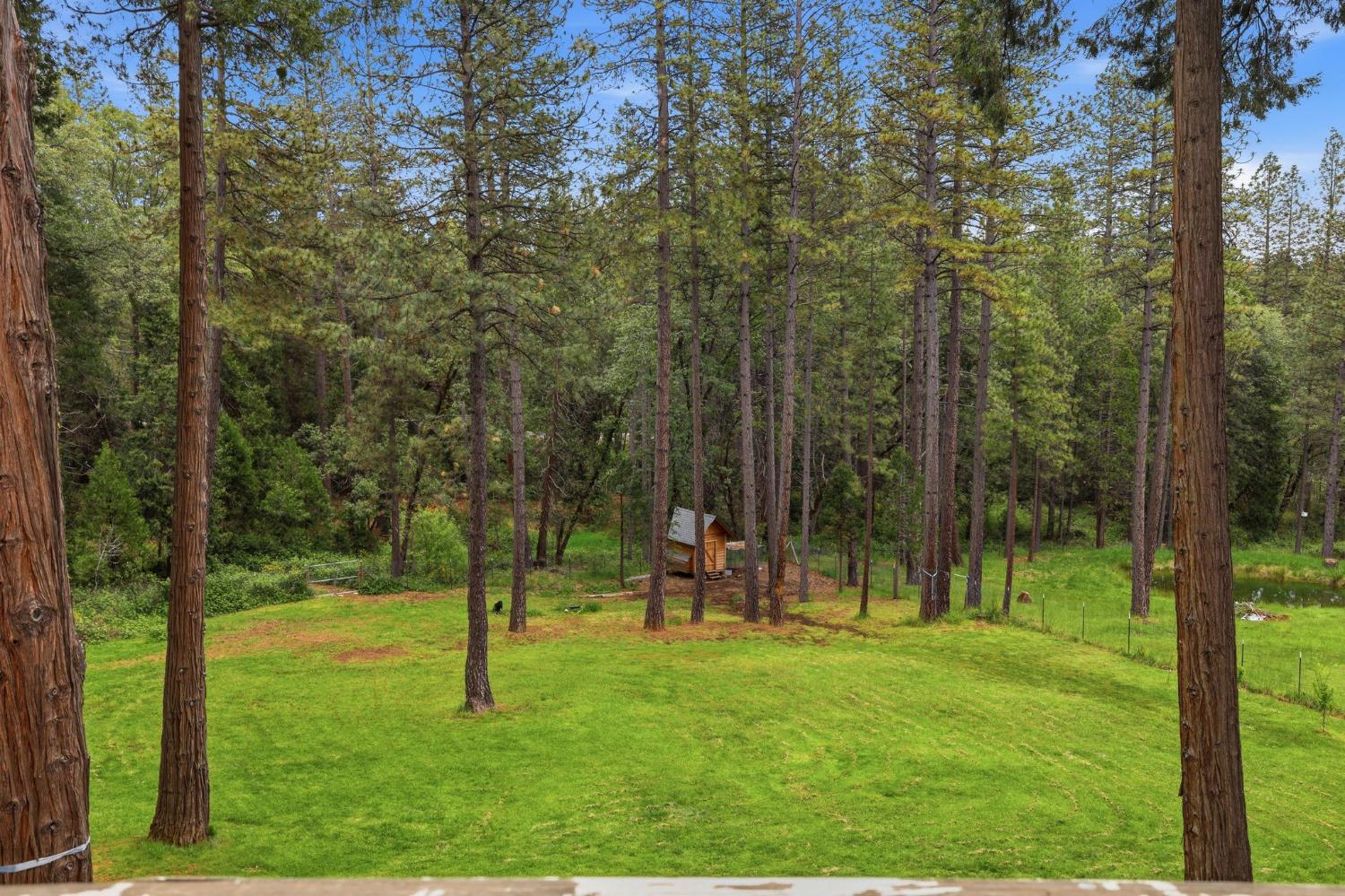 4061 Cedar Drive Georgetown, CA 95634 - Photo 3 of 63