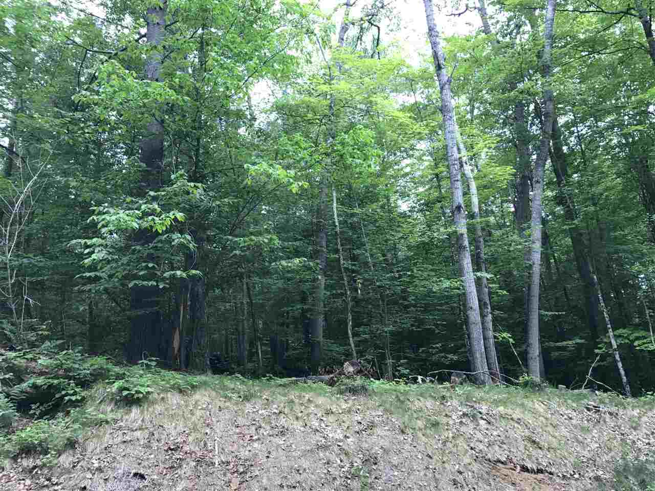 2 Stevens Road Hanover, NH 03750 - Photo 2 of 8
