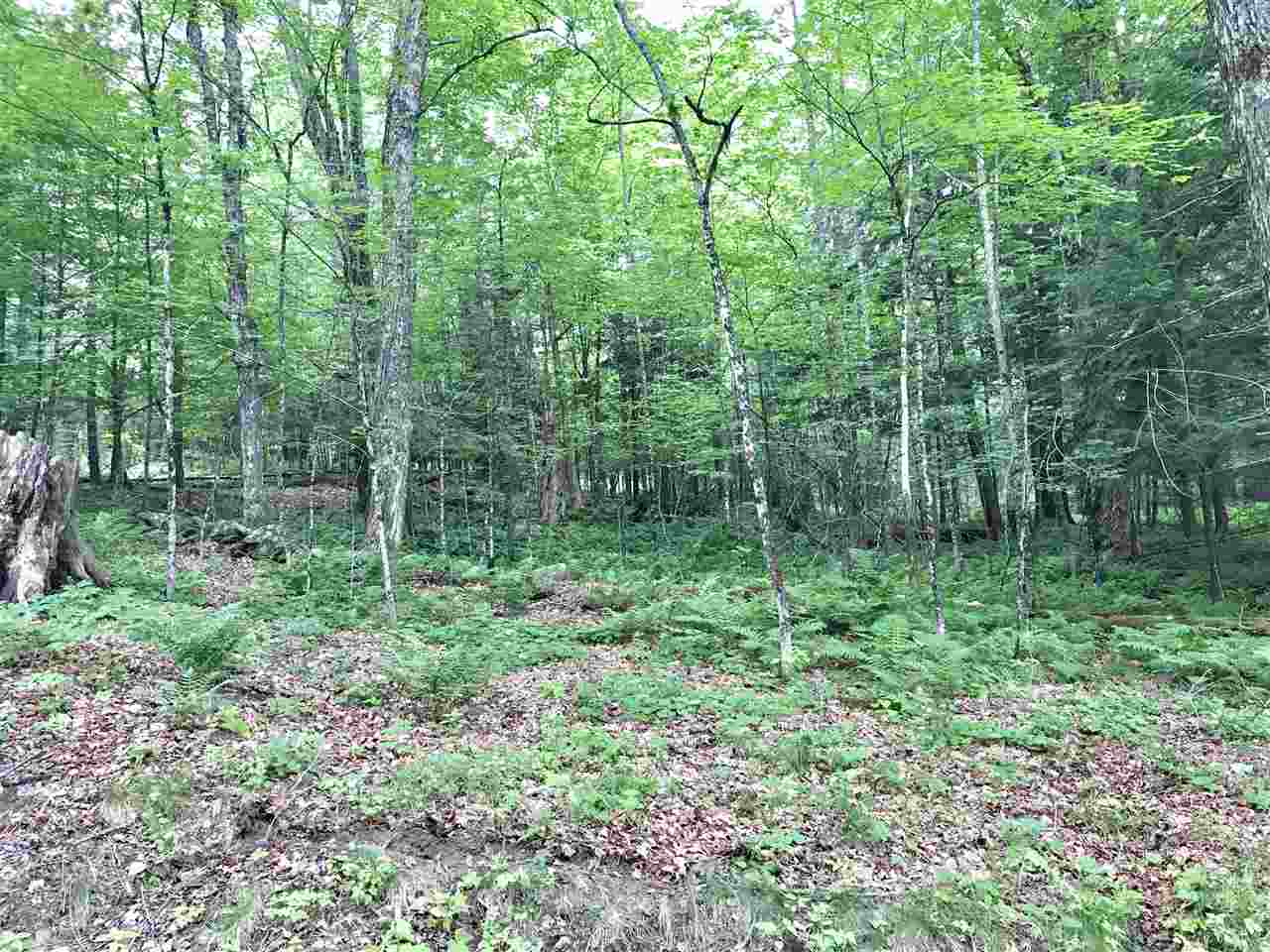 2 Stevens Road Hanover, NH 03750 - Photo 3 of 8