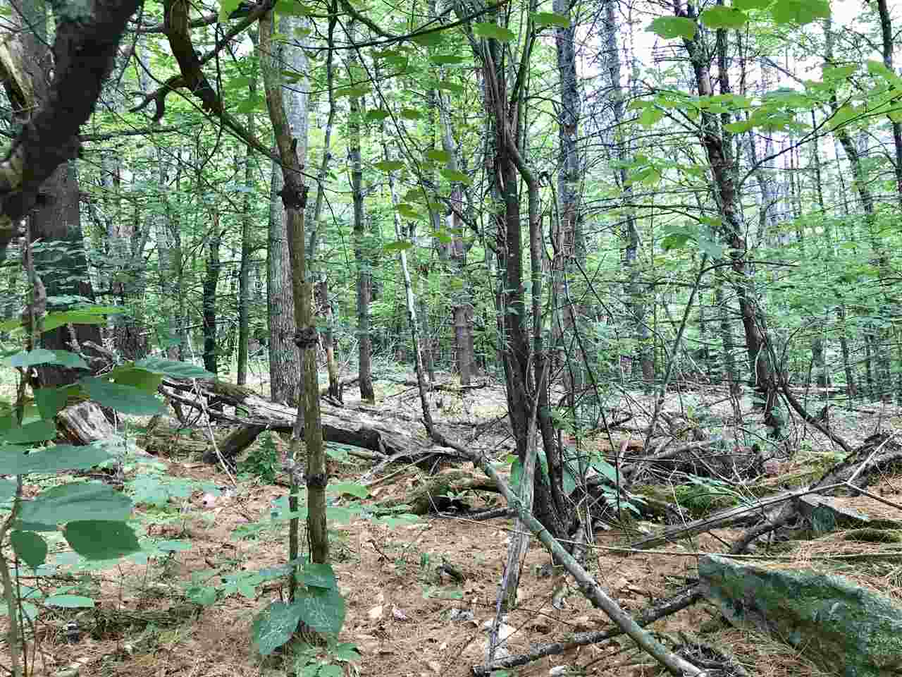2 Stevens Road Hanover, NH 03750 - Photo 4 of 8