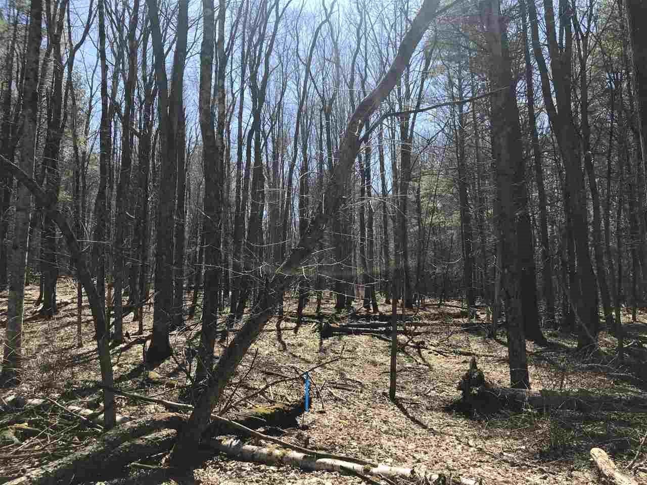 2 Stevens Road Hanover, NH 03750 - Photo 5 of 8