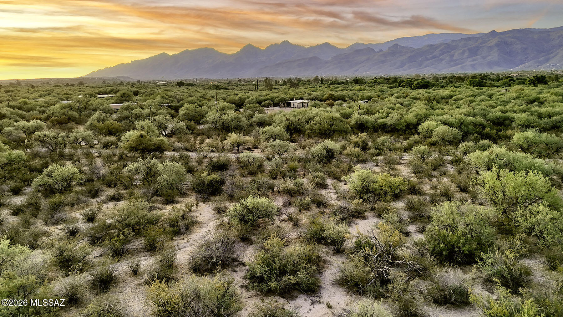 1242 North Freeman Road, Unit 5 ACRE Tucson, AZ 85749 - Photo 6 of 20 Desert Fauna