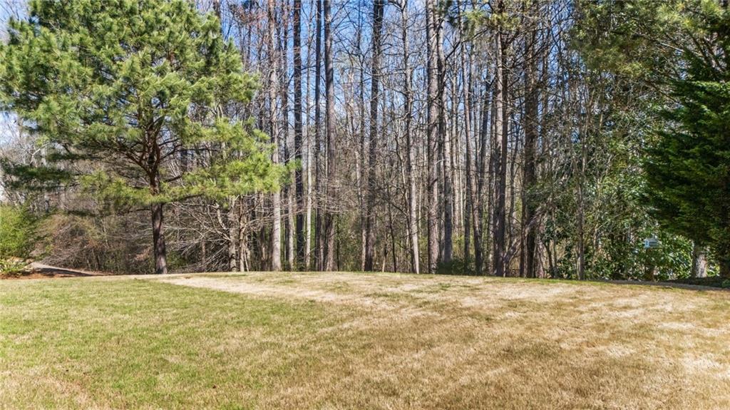 1495 Mystic Ridge Place Cumming, GA 30040 - Photo 36 of 45